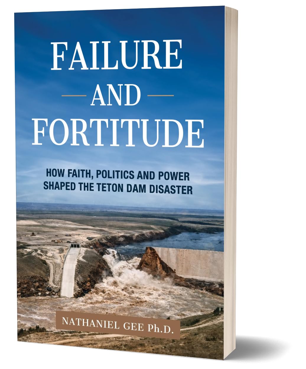 Failure and Fortitude Book Cover